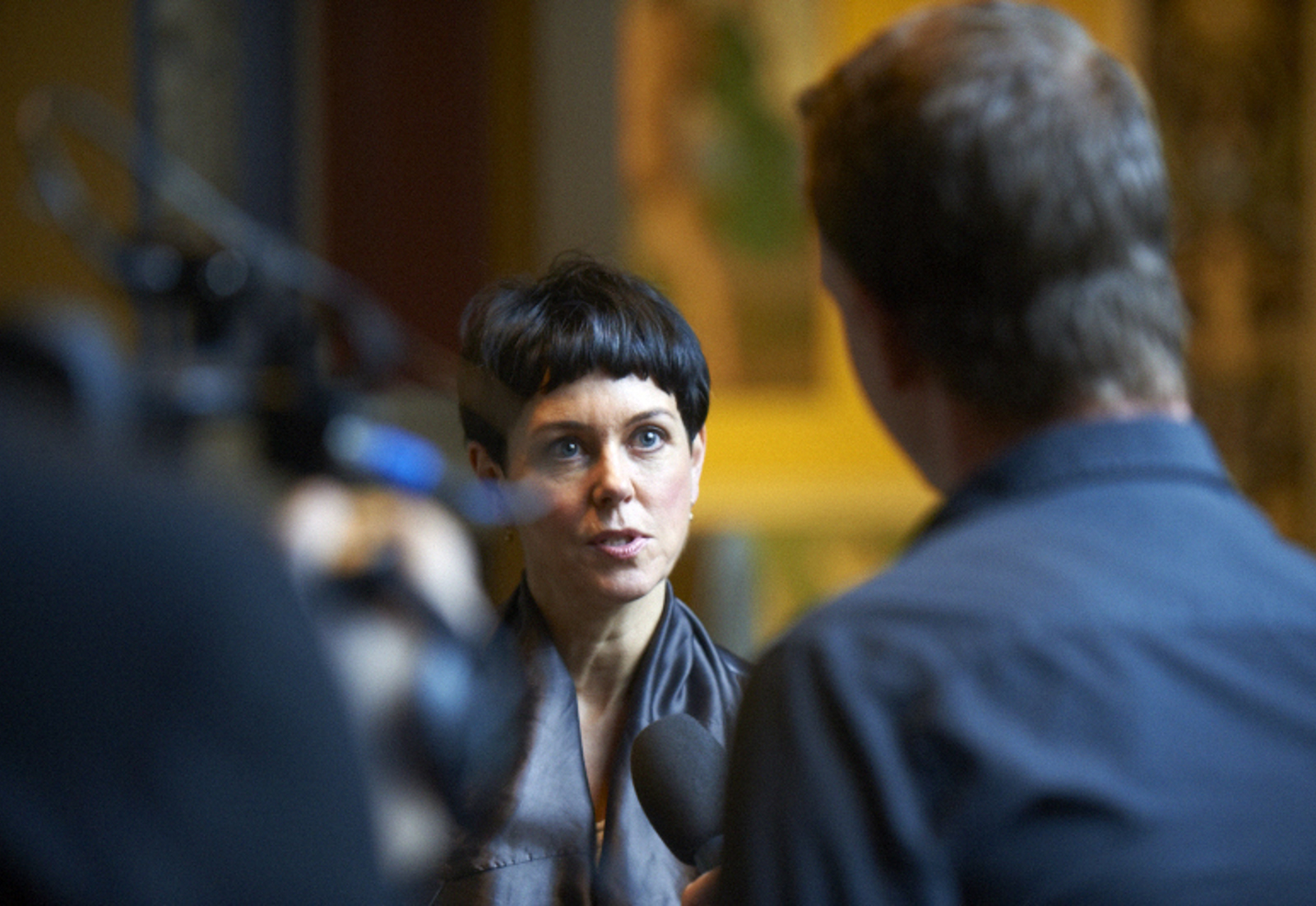 Vibeke Borberg Fortæller Om Reglerne Om Personbilledbeskyttelse.